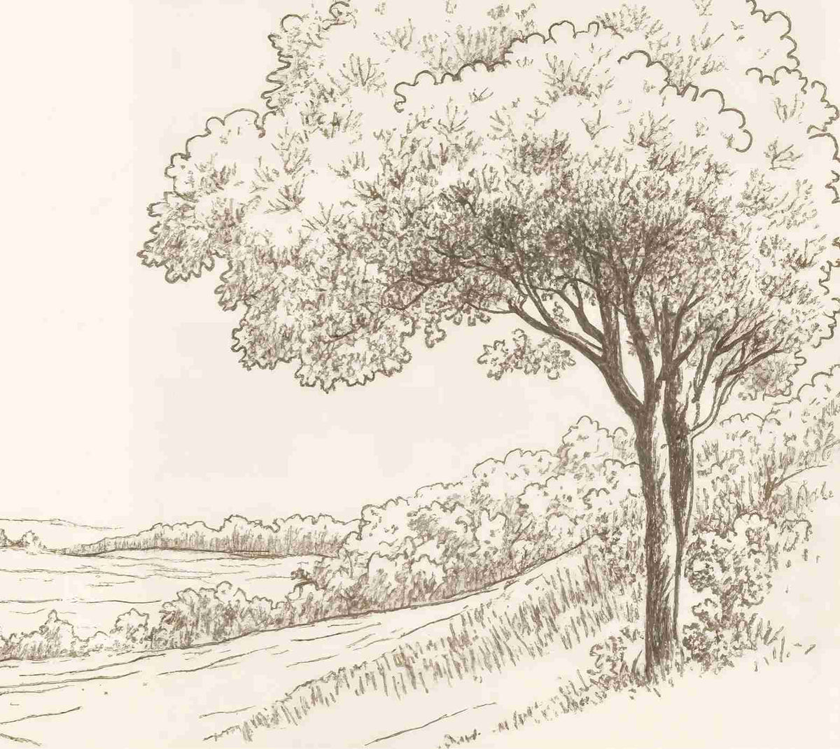 Sous le Chêne – Papier peint panoramique scène rustique au trait naturel - Illulart: Papier peint panoramique