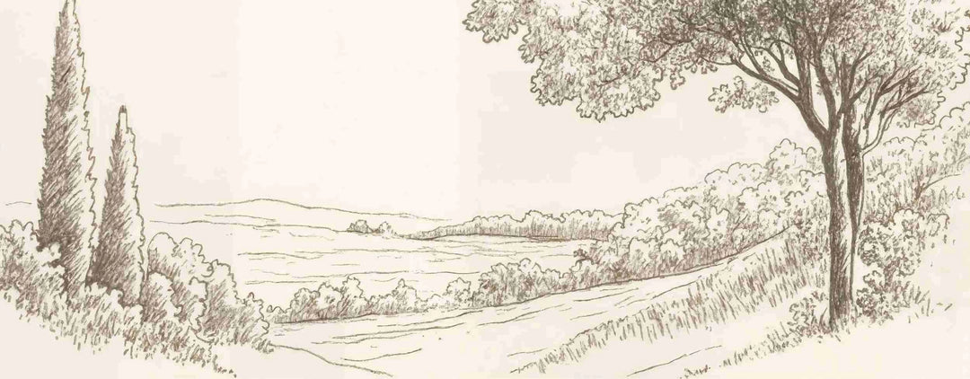 Sous le Chêne – Papier peint panoramique scène rustique au trait naturel - Illulart: Papier peint panoramique