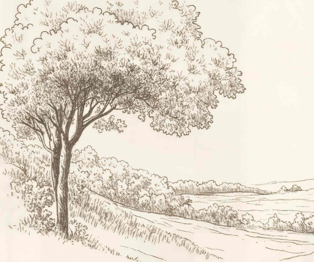 Sous le Chêne – Papier peint panoramique scène rustique au trait naturel - Illulart: Papier peint panoramique