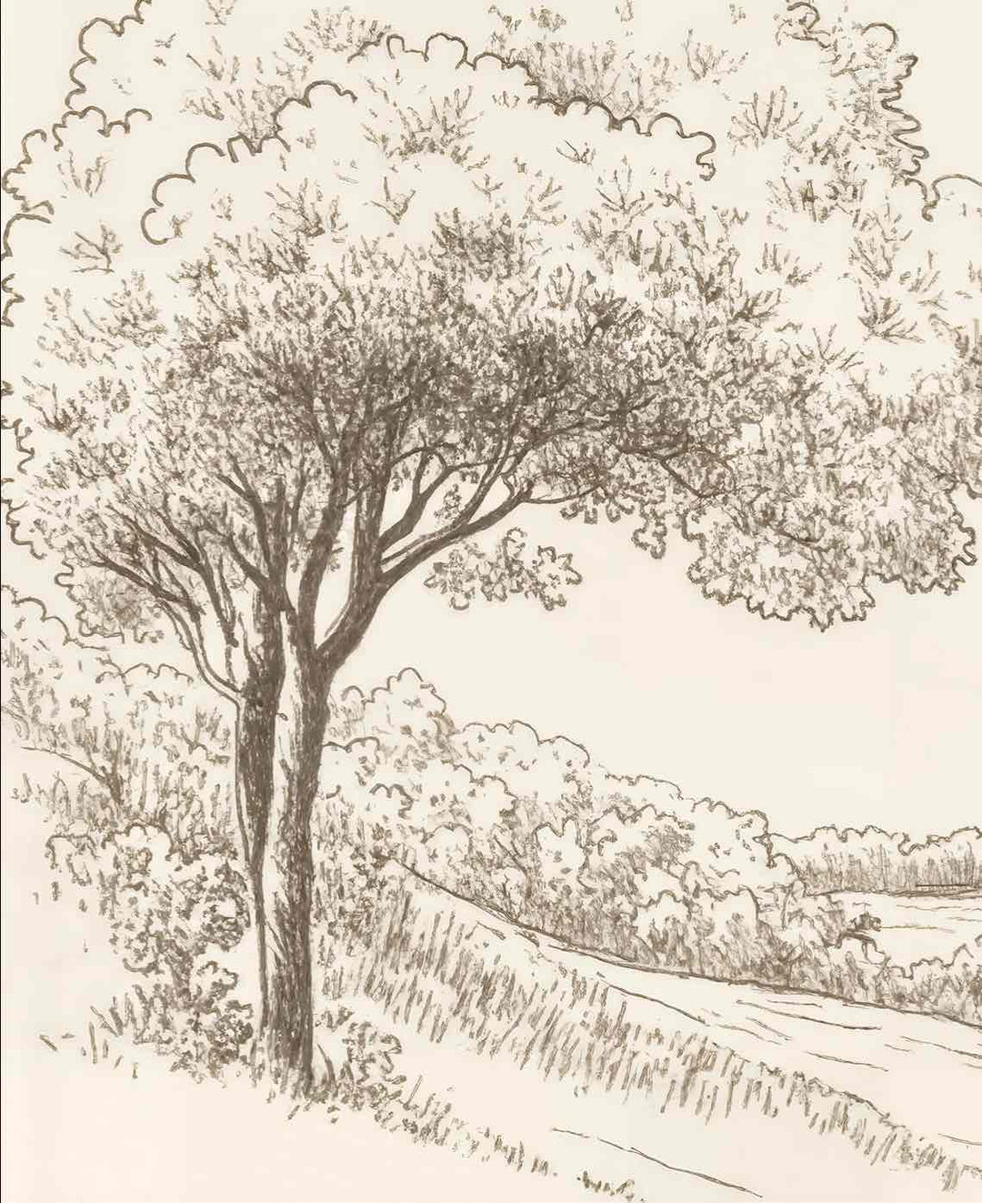 Sous le Chêne – Papier peint panoramique scène rustique au trait naturel - Illulart: Papier peint panoramique