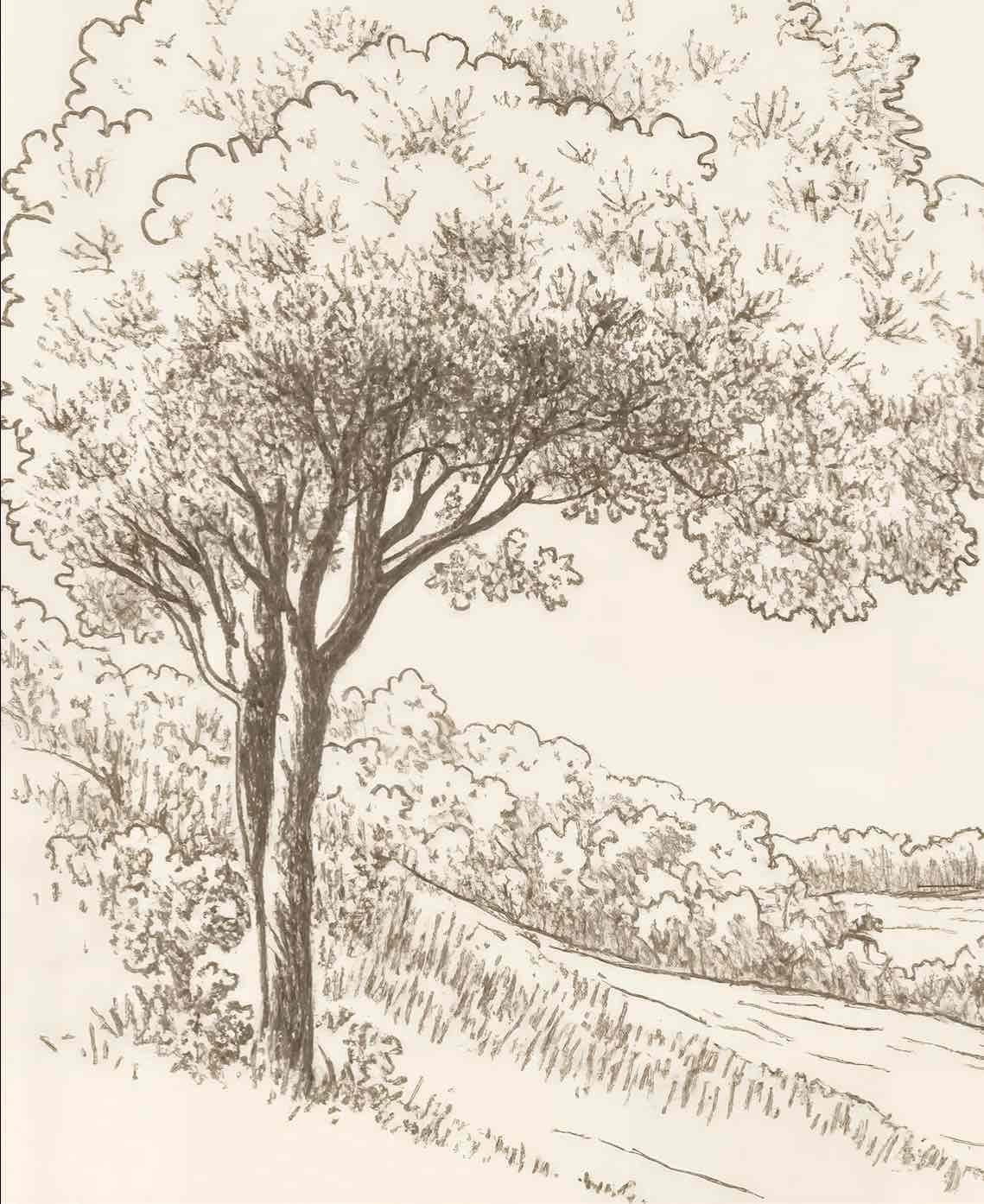 Sous le Chêne – Papier peint panoramique scène rustique au trait naturel - Illulart: Papier peint panoramique