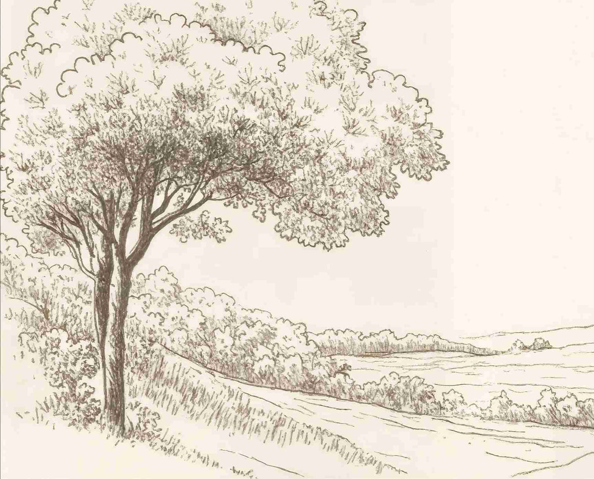 Sous le Chêne – Papier peint panoramique scène rustique au trait naturel - Illulart: Papier peint panoramique
