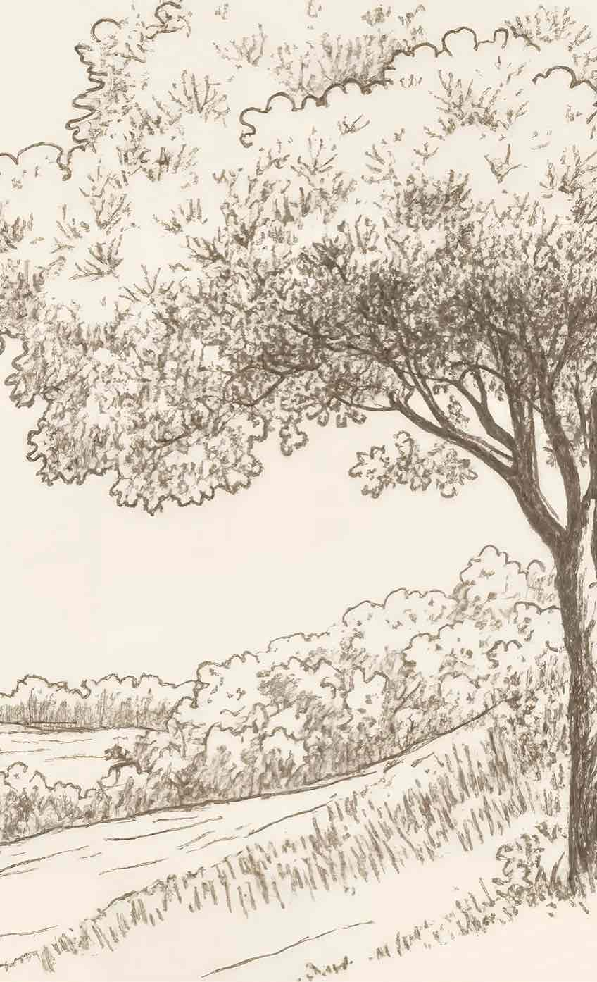 Sous le Chêne – Papier peint panoramique scène rustique au trait naturel - Illulart: Papier peint panoramique