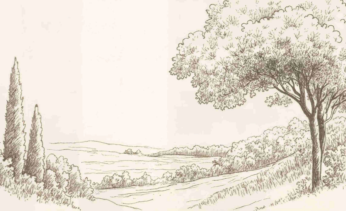 Sous le Chêne – Papier peint panoramique scène rustique au trait naturel - Illulart: Papier peint panoramique