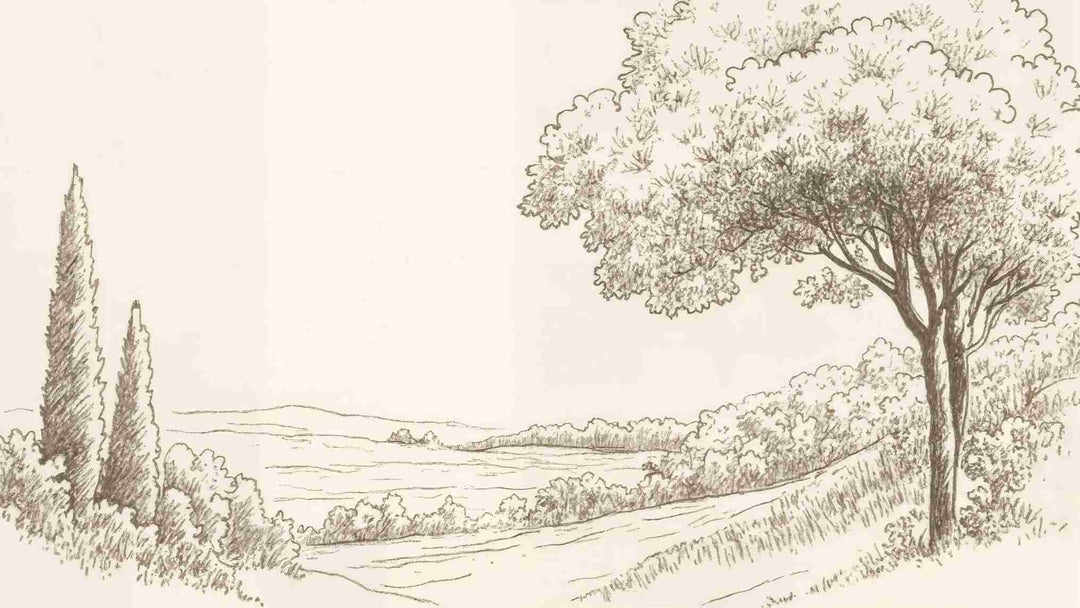 Sous le Chêne – Papier peint panoramique scène rustique au trait naturel - Illulart: Papier peint panoramique