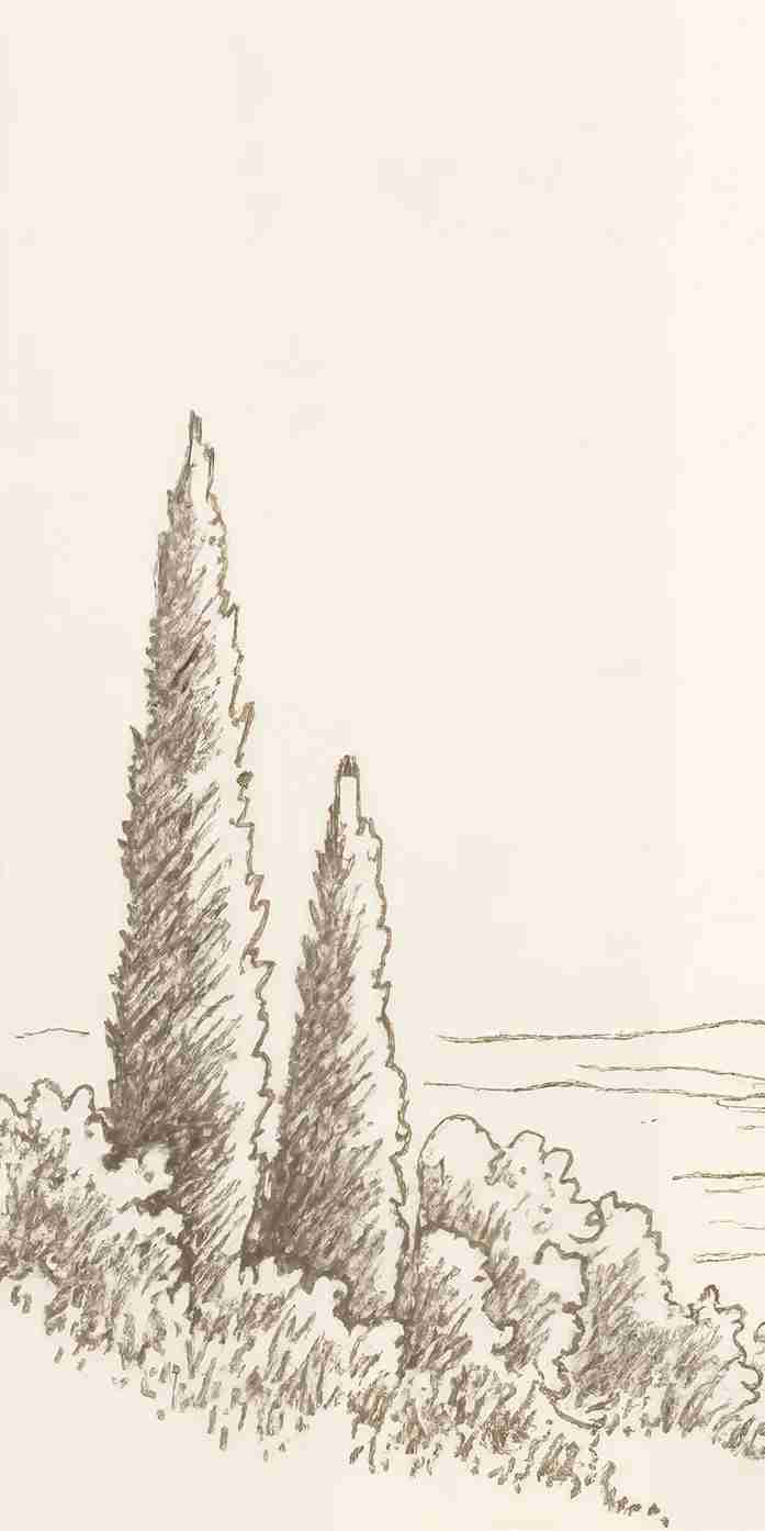 Sous le Chêne – Papier peint panoramique scène rustique au trait naturel - Illulart: Papier peint panoramique