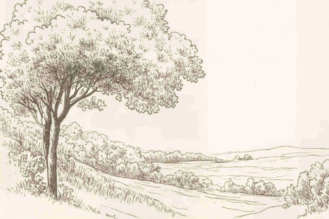 Sous le Chêne – Papier peint panoramique scène rustique au trait naturel - Illulart: Papier peint panoramique