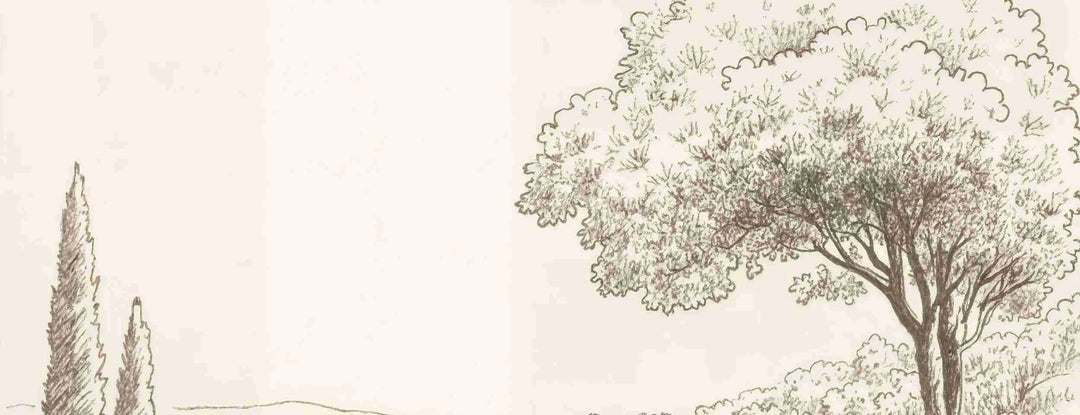 Sous le Chêne – Papier peint panoramique scène rustique au trait naturel - Illulart: Papier peint panoramique