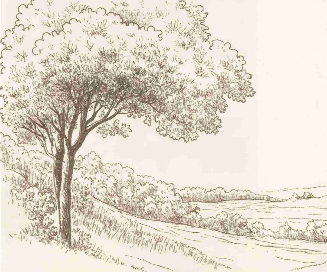 Sous le Chêne – Papier peint panoramique scène rustique au trait naturel - Illulart: Papier peint panoramique