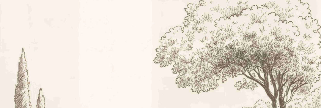 Sous le Chêne – Papier peint panoramique scène rustique au trait naturel - Illulart: Papier peint panoramique