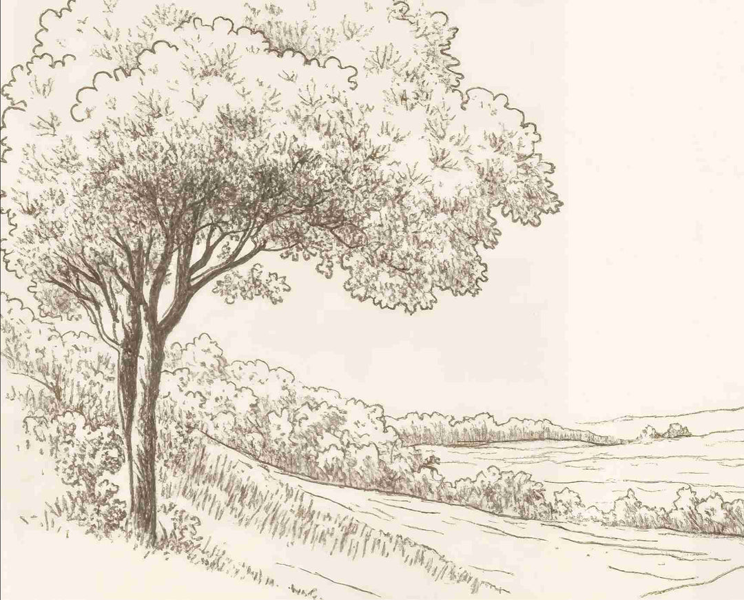 Sous le Chêne – Papier peint panoramique scène rustique au trait naturel - Illulart: Papier peint panoramique