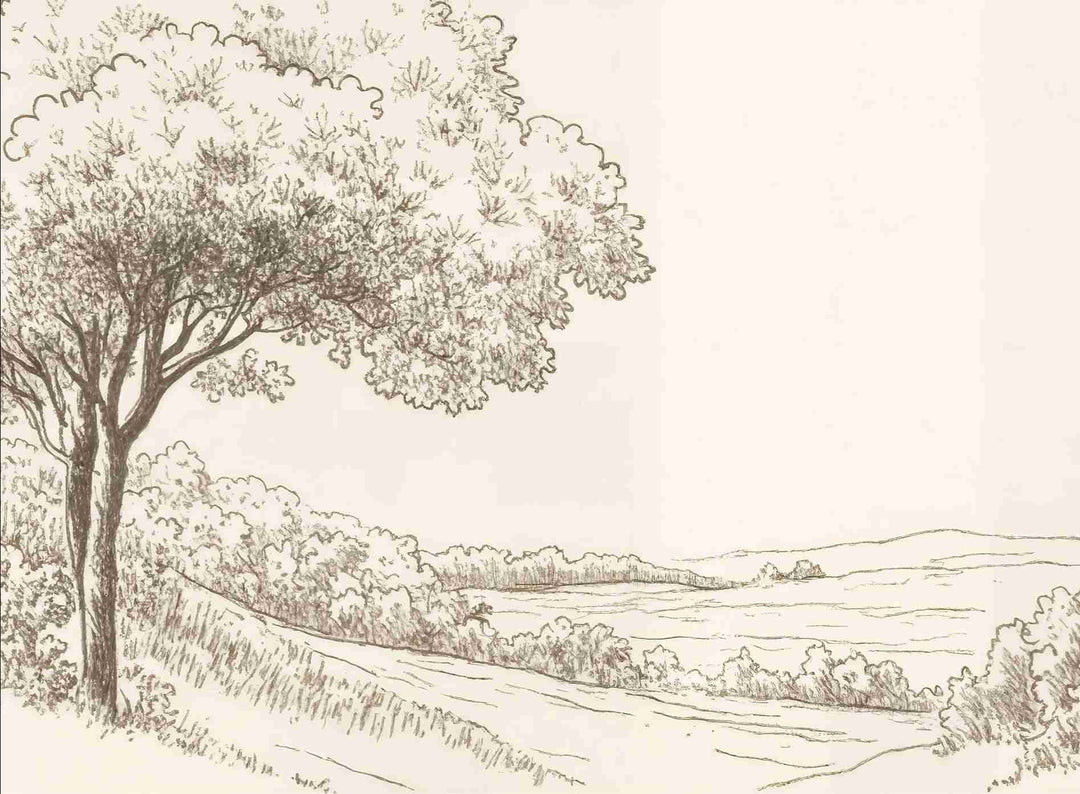 Sous le Chêne – Papier peint panoramique scène rustique au trait naturel - Illulart: Papier peint panoramique