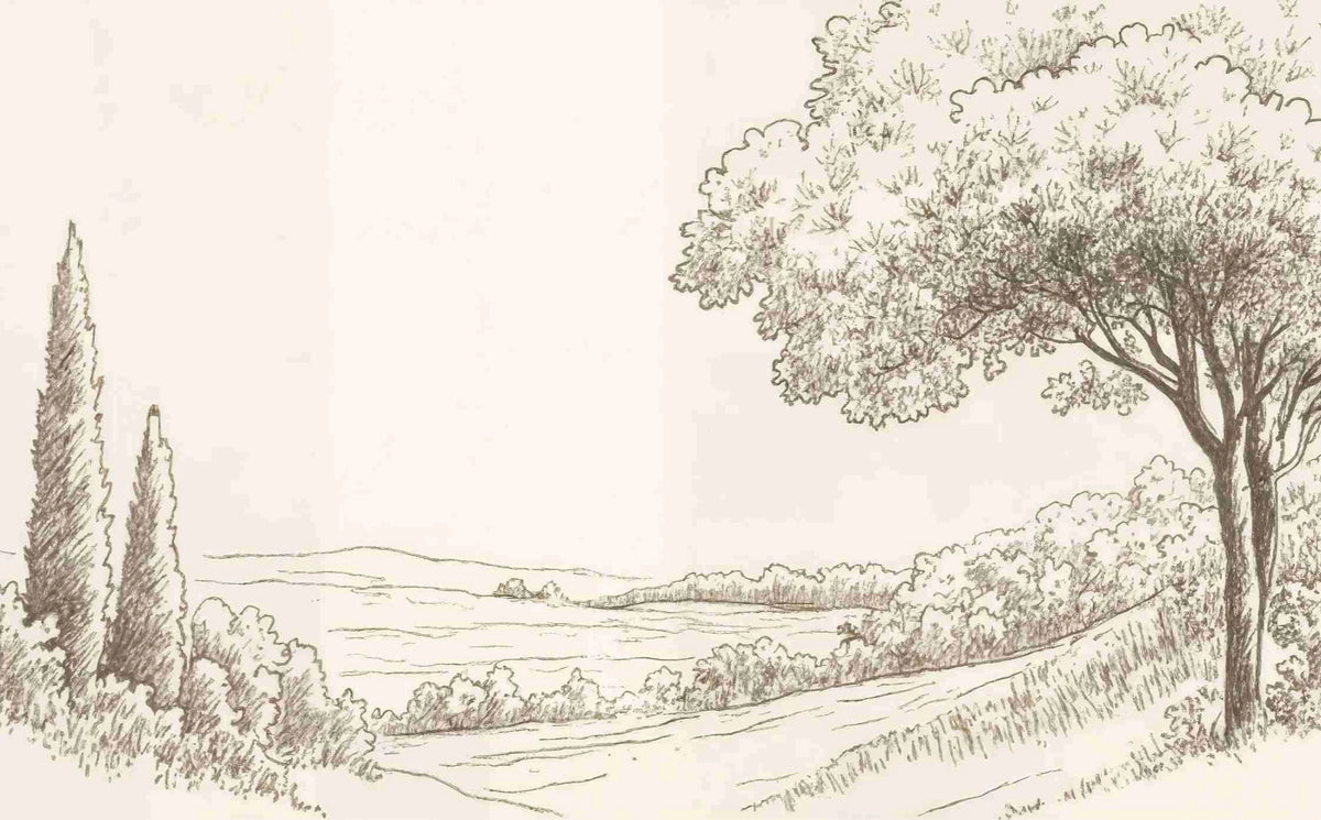 Sous le Chêne – Papier peint panoramique scène rustique au trait naturel - Illulart: Papier peint panoramique