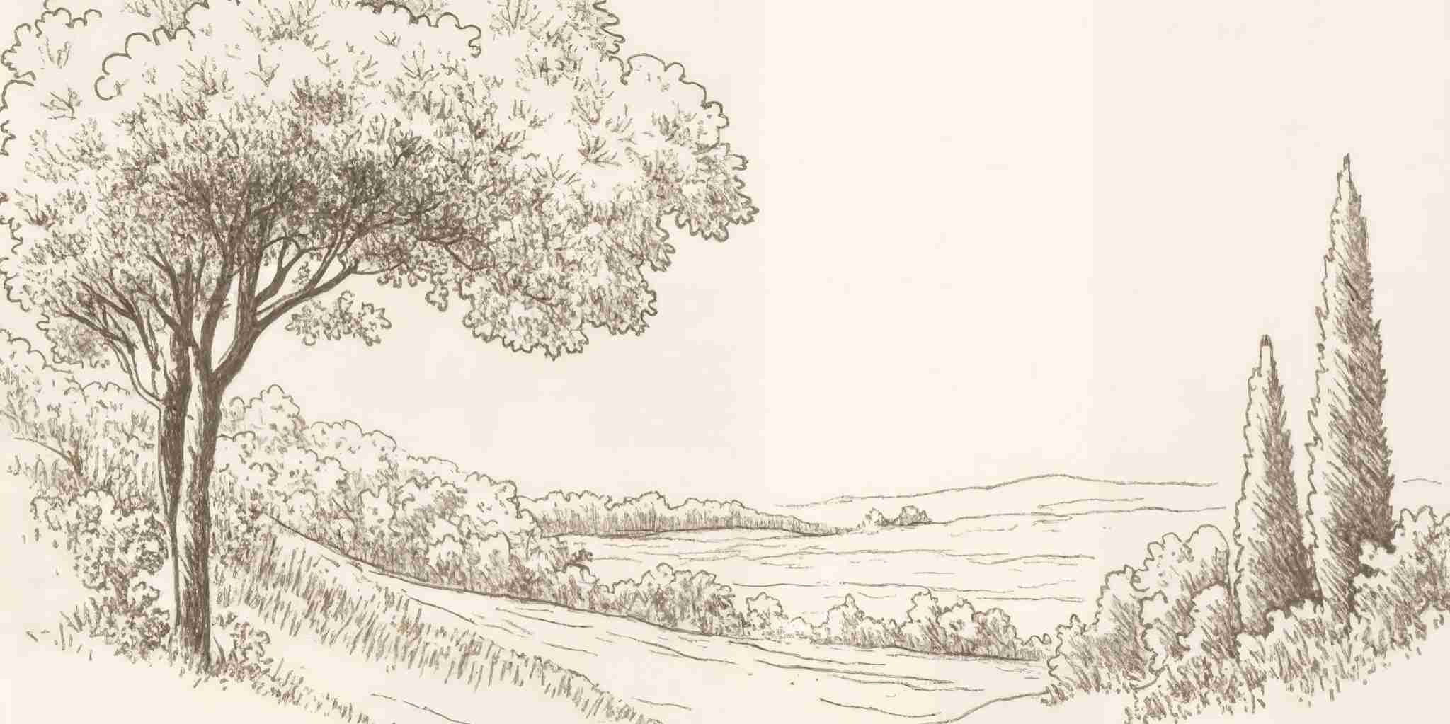 Sous le Chêne – Papier peint panoramique scène rustique au trait naturel - Illulart: Papier peint panoramique