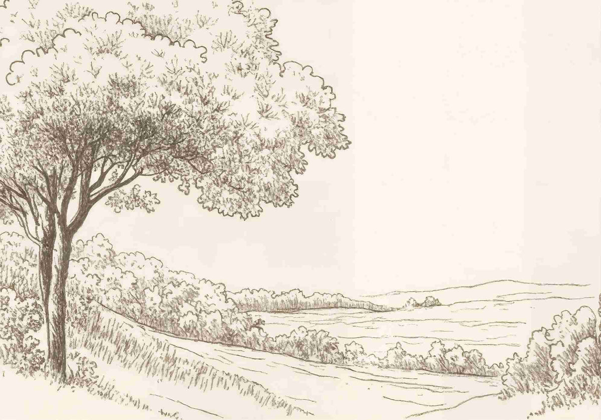 Sous le Chêne – Papier peint panoramique scène rustique au trait naturel - Illulart: Papier peint panoramique