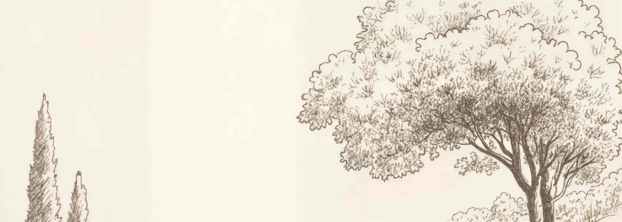 Sous le Chêne – Papier peint panoramique scène rustique au trait naturel - Illulart: Papier peint panoramique