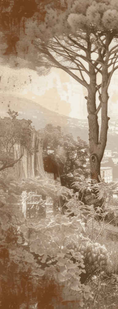 Tradition des Cyprès: Élégance Murale Panoramique Vintage - Illulart: Papier peint panoramique