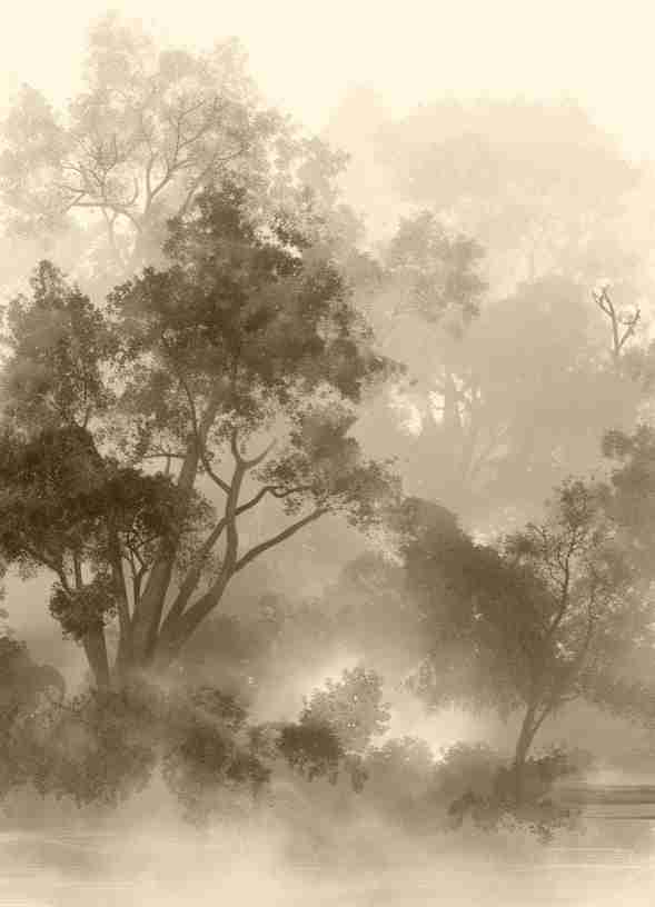 Voile de brume - Illulart: Papier peint panoramique