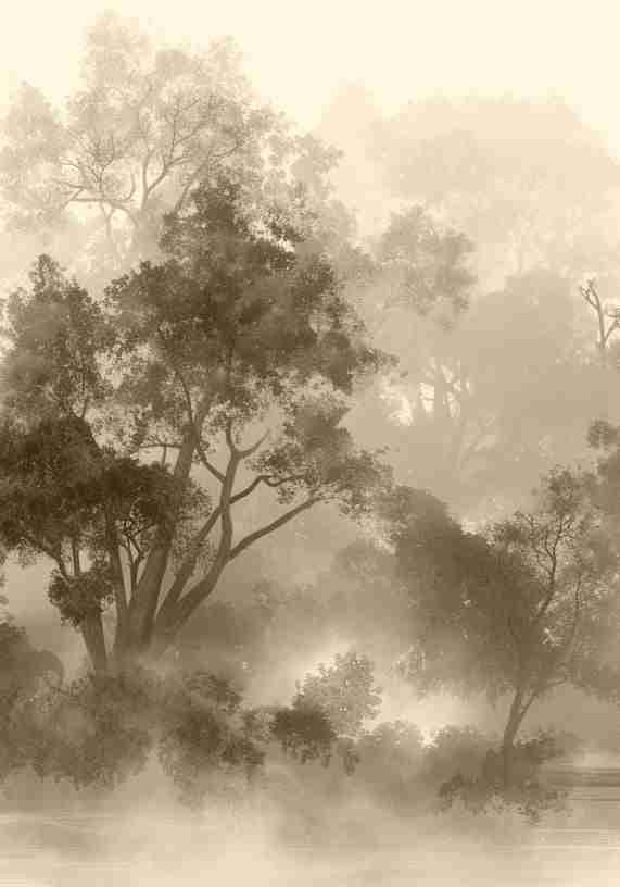 Voile de brume - Illulart: Papier peint panoramique