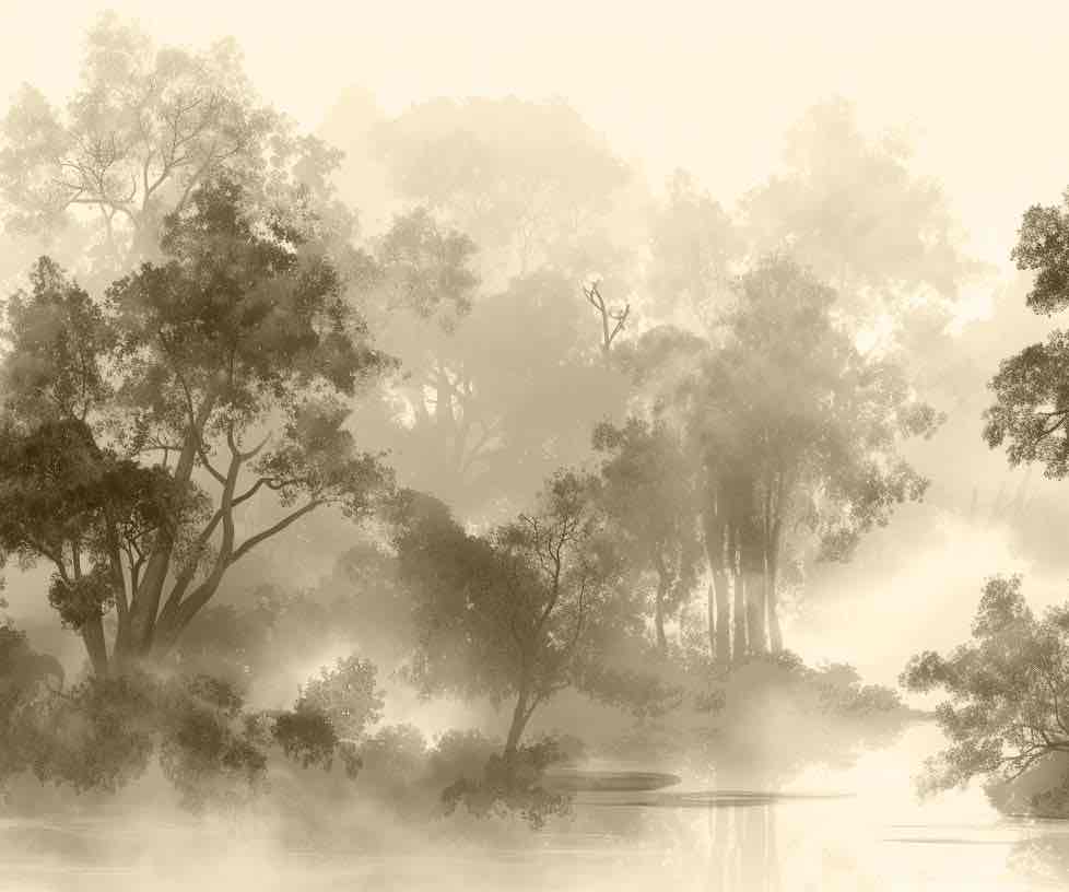 Voile de brume - Illulart: Papier peint panoramique