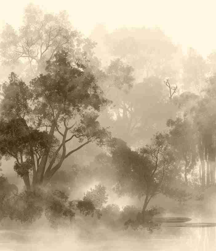 Voile de brume - Illulart: Papier peint panoramique