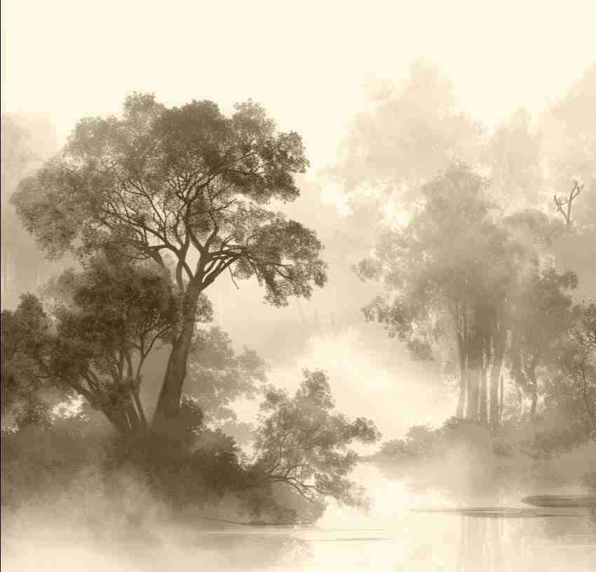 Voile de brume