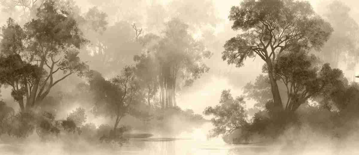 Voile de brume - Illulart: Papier peint panoramique