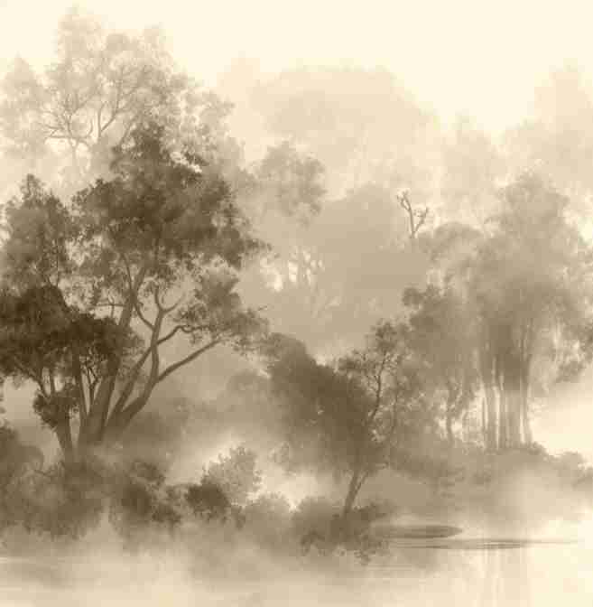 Voile de brume - Illulart: Papier peint panoramique