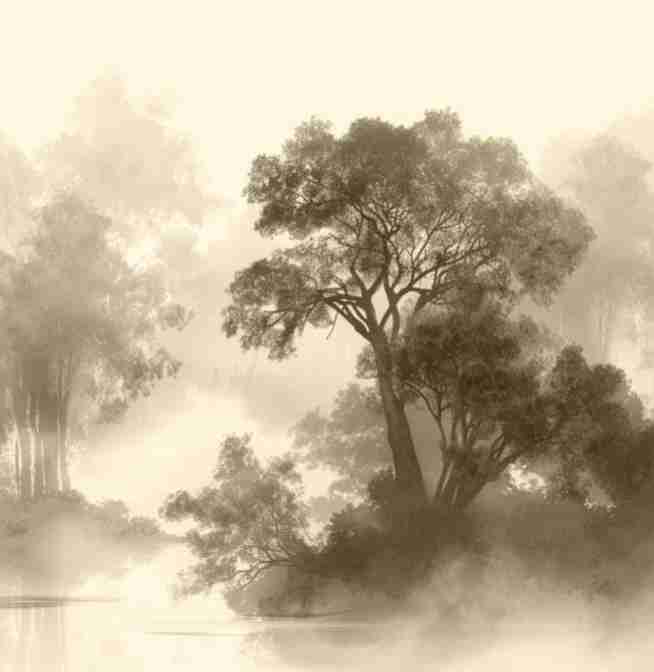 Voile de brume - Illulart: Papier peint panoramique