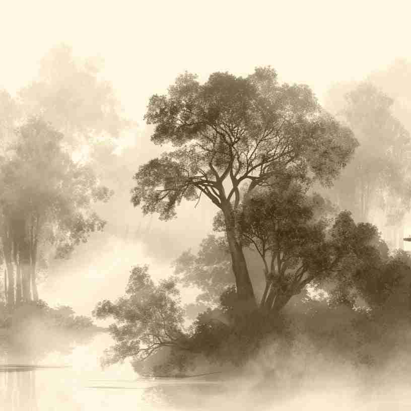 Voile de brume - Illulart: Papier peint panoramique