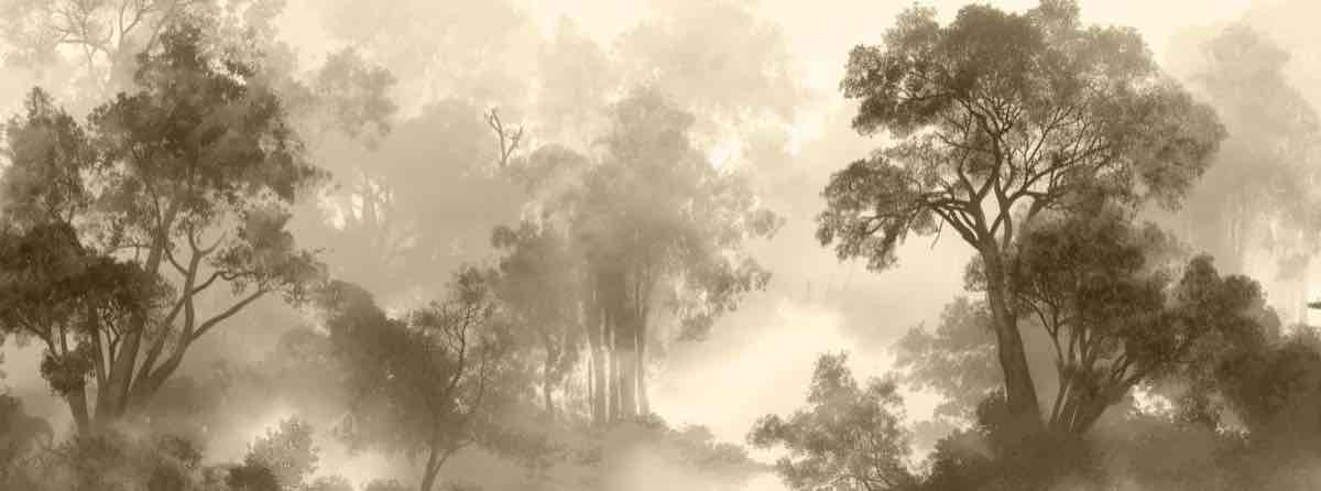 Voile de brume - Illulart: Papier peint panoramique