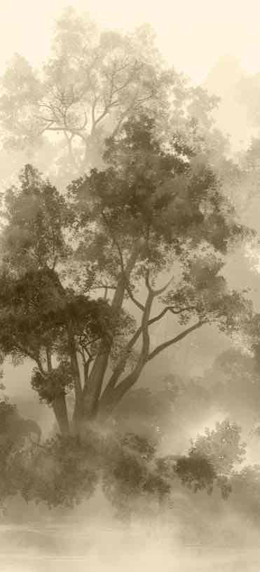 Voile de brume - Illulart: Papier peint panoramique