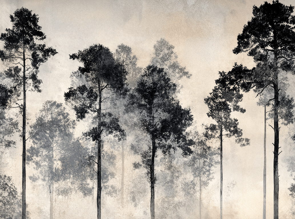 Voyage au cœur des pins - Illulart: Papier peint panoramique