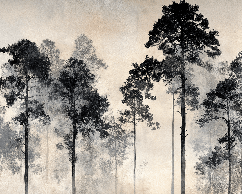 Voyage au cœur des pins - Illulart: Papier peint panoramique