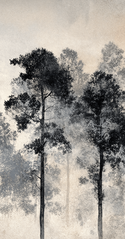 Voyage au cœur des pins - Illulart: Papier peint panoramique