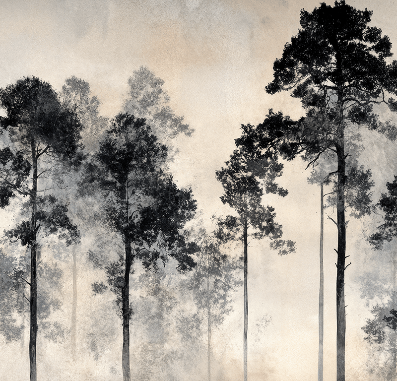 Voyage au cœur des pins - Illulart: Papier peint panoramique