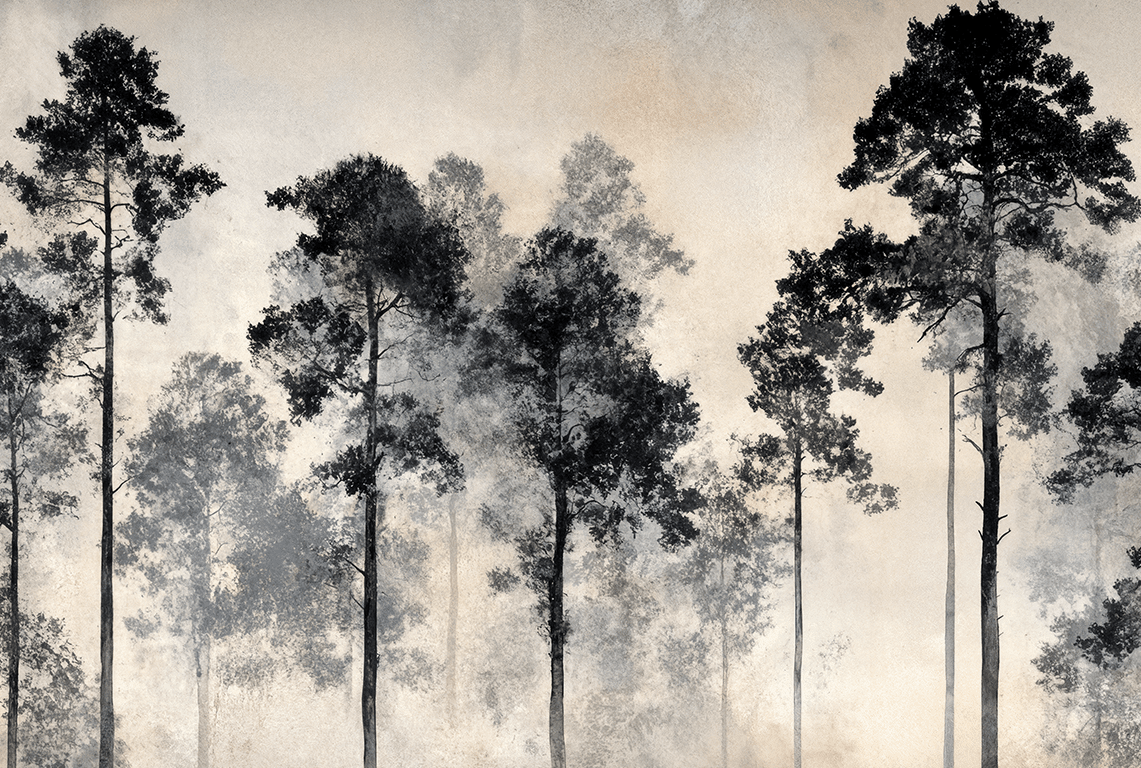 Voyage au cœur des pins - Illulart: Papier peint panoramique