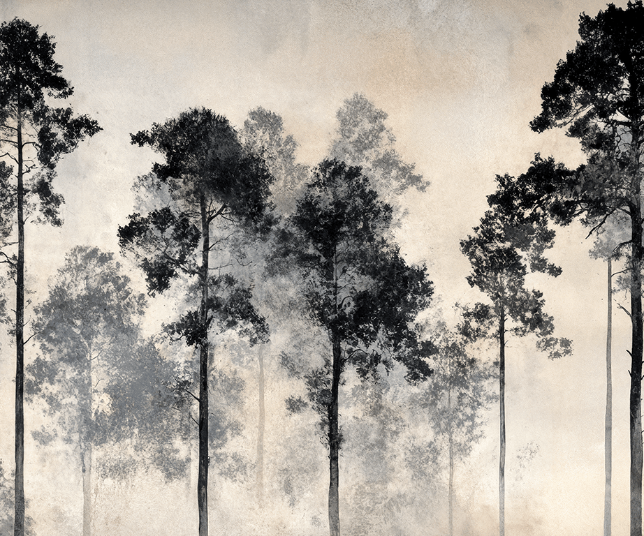 Voyage au cœur des pins - Illulart: Papier peint panoramique
