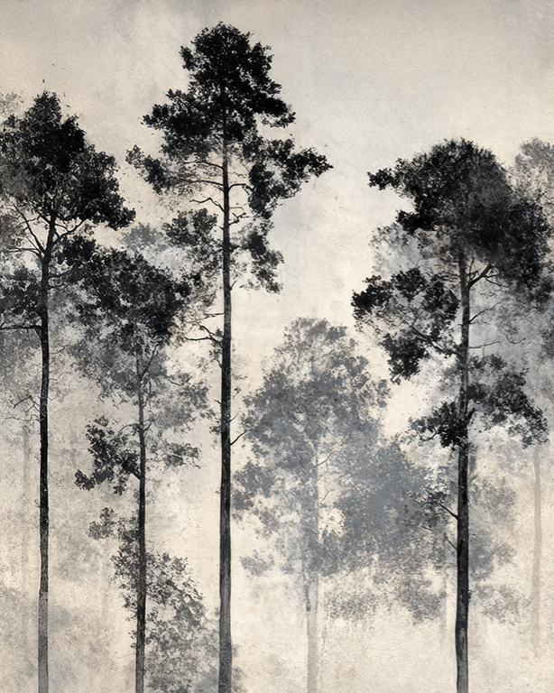 Voyage au cœur des pins – Papier peint panoramique forêt brumeuse - Illulart: Papier peint panoramique