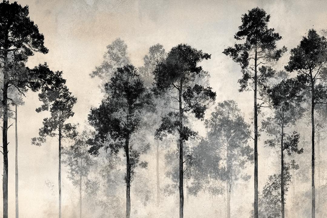 Voyage au cœur des pins – Papier peint panoramique forêt brumeuse - Illulart: Papier peint panoramique