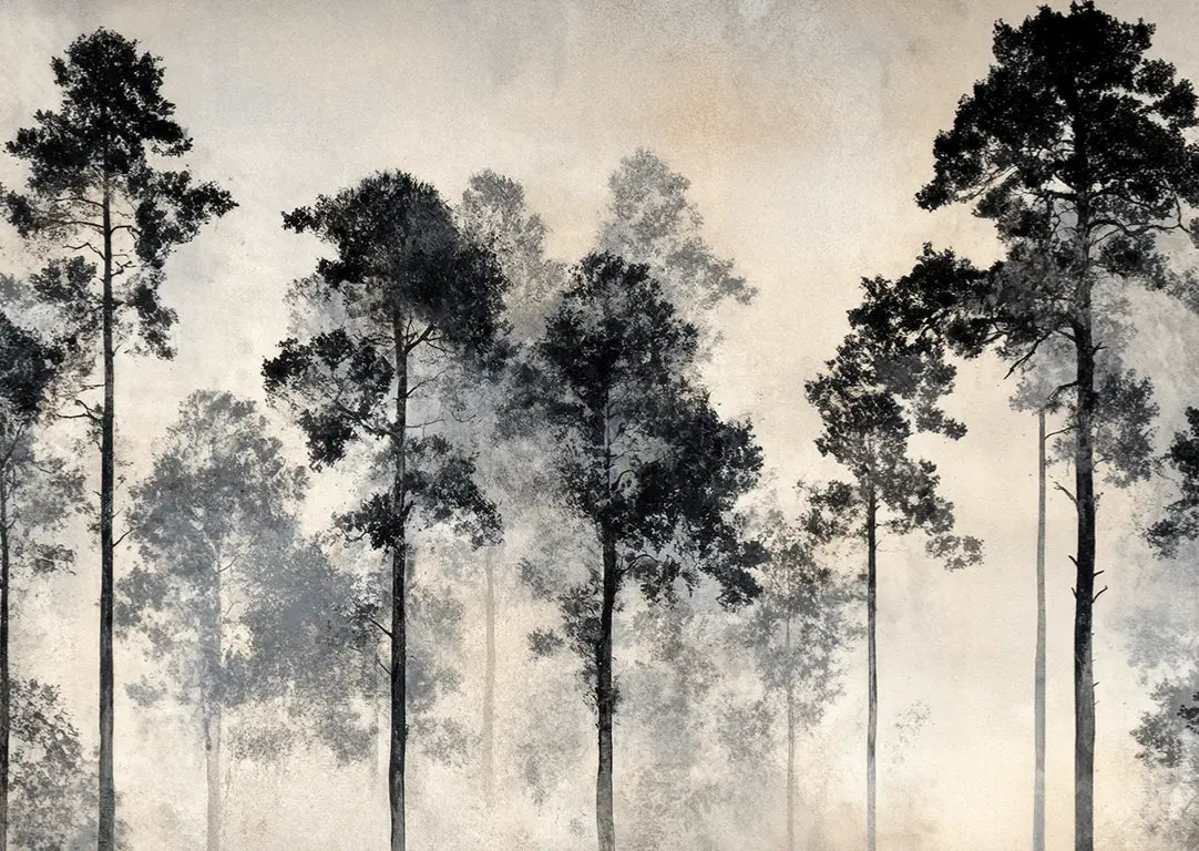 Voyage au cœur des pins – Papier peint panoramique forêt brumeuse - Illulart: Papier peint panoramique