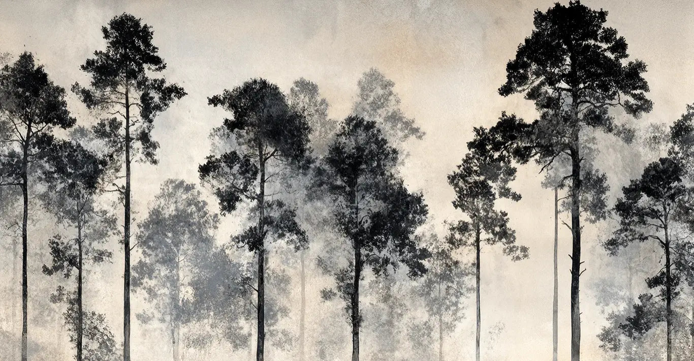 Voyage au cœur des pins – Papier peint panoramique forêt brumeuse