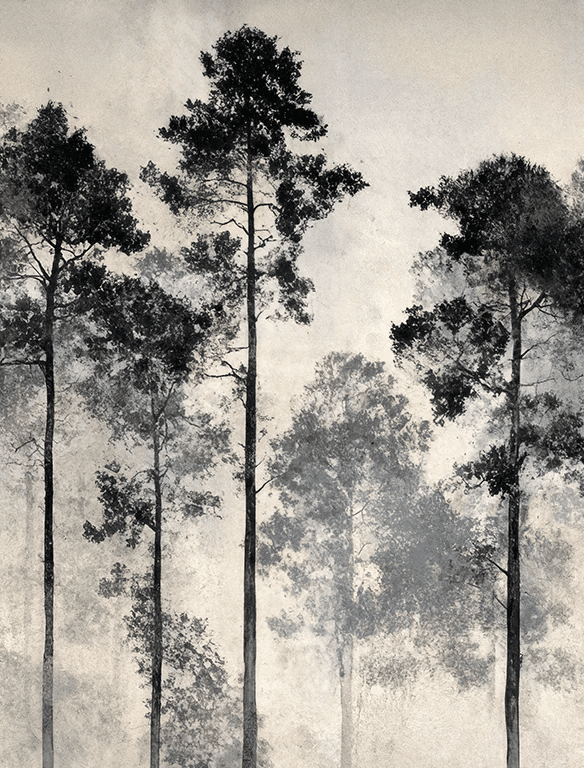 Voyage au cœur des pins – Papier peint panoramique forêt brumeuse - Illulart: Papier peint panoramique