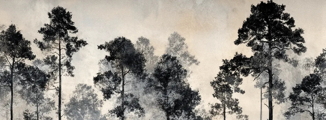 Voyage au cœur des pins – Papier peint panoramique forêt brumeuse - Illulart: Papier peint panoramique