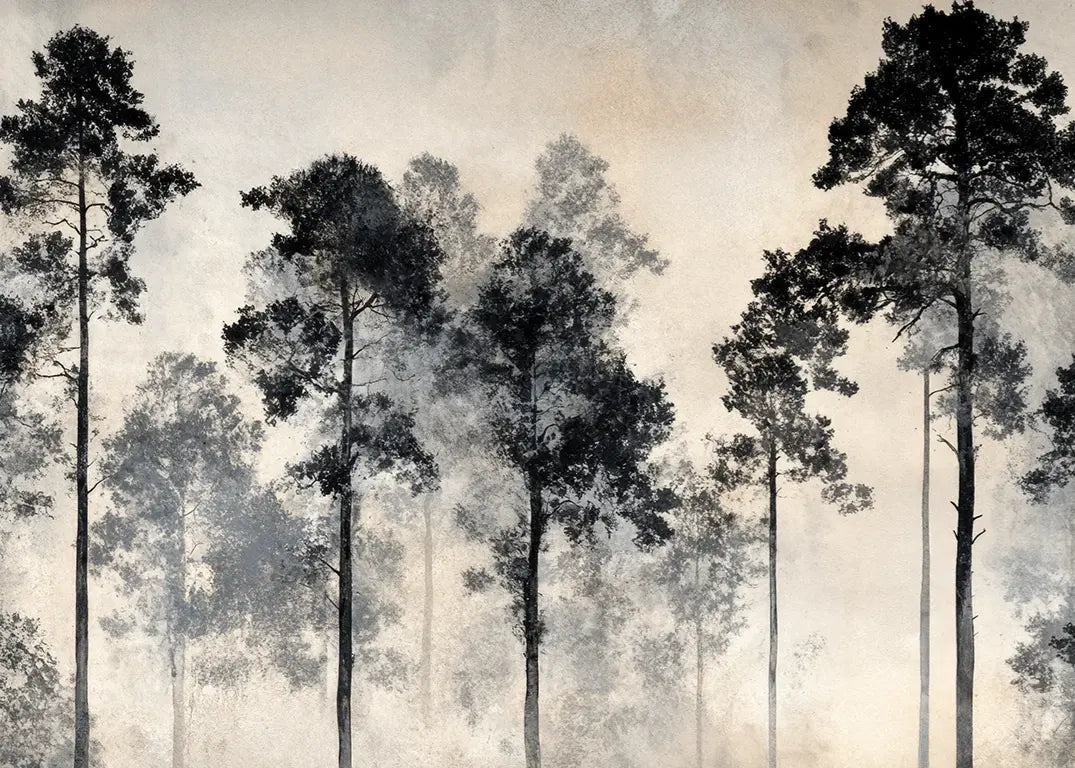 Voyage au cœur des pins – Papier peint panoramique forêt brumeuse - Illulart: Papier peint panoramique