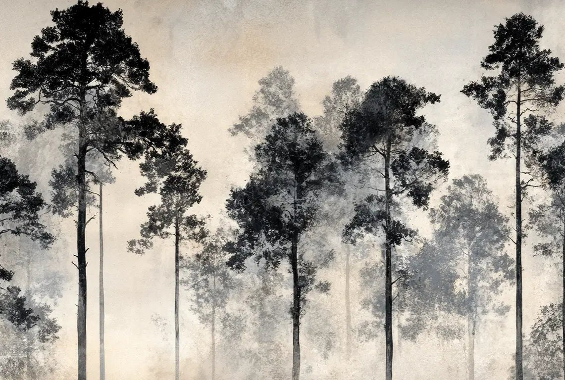 Voyage au cœur des pins – Papier peint panoramique forêt brumeuse