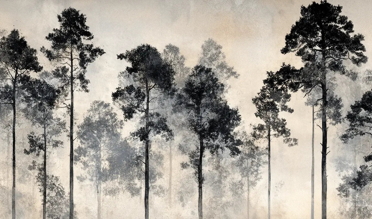 Voyage au cœur des pins – Papier peint panoramique forêt brumeuse