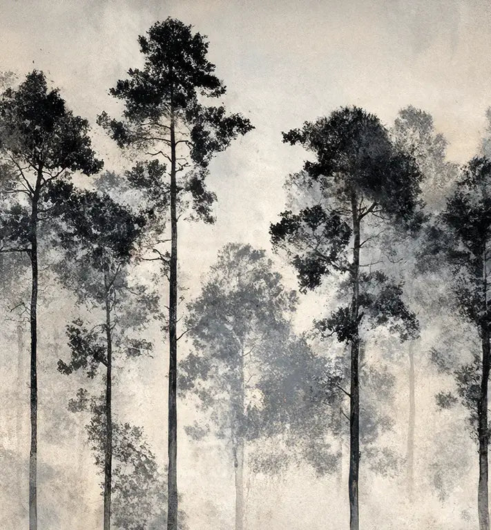 Voyage au cœur des pins – Papier peint panoramique forêt brumeuse - Illulart: Papier peint panoramique