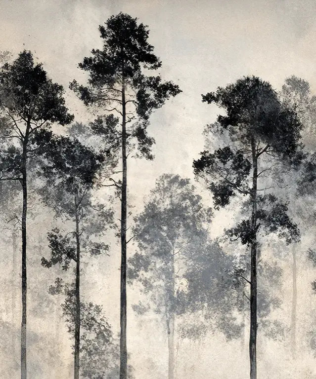 Voyage au cœur des pins – Papier peint panoramique forêt brumeuse - Illulart: Papier peint panoramique