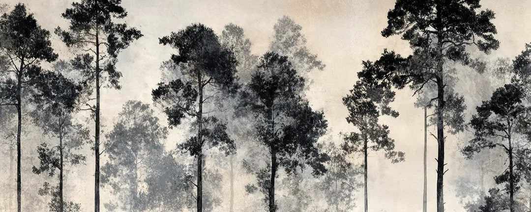 Voyage au cœur des pins – Papier peint panoramique forêt brumeuse - Illulart: Papier peint panoramique